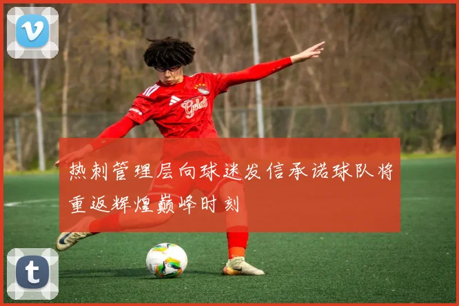 热刺管理层向球迷发信承诺球队将重返辉煌巅峰时刻